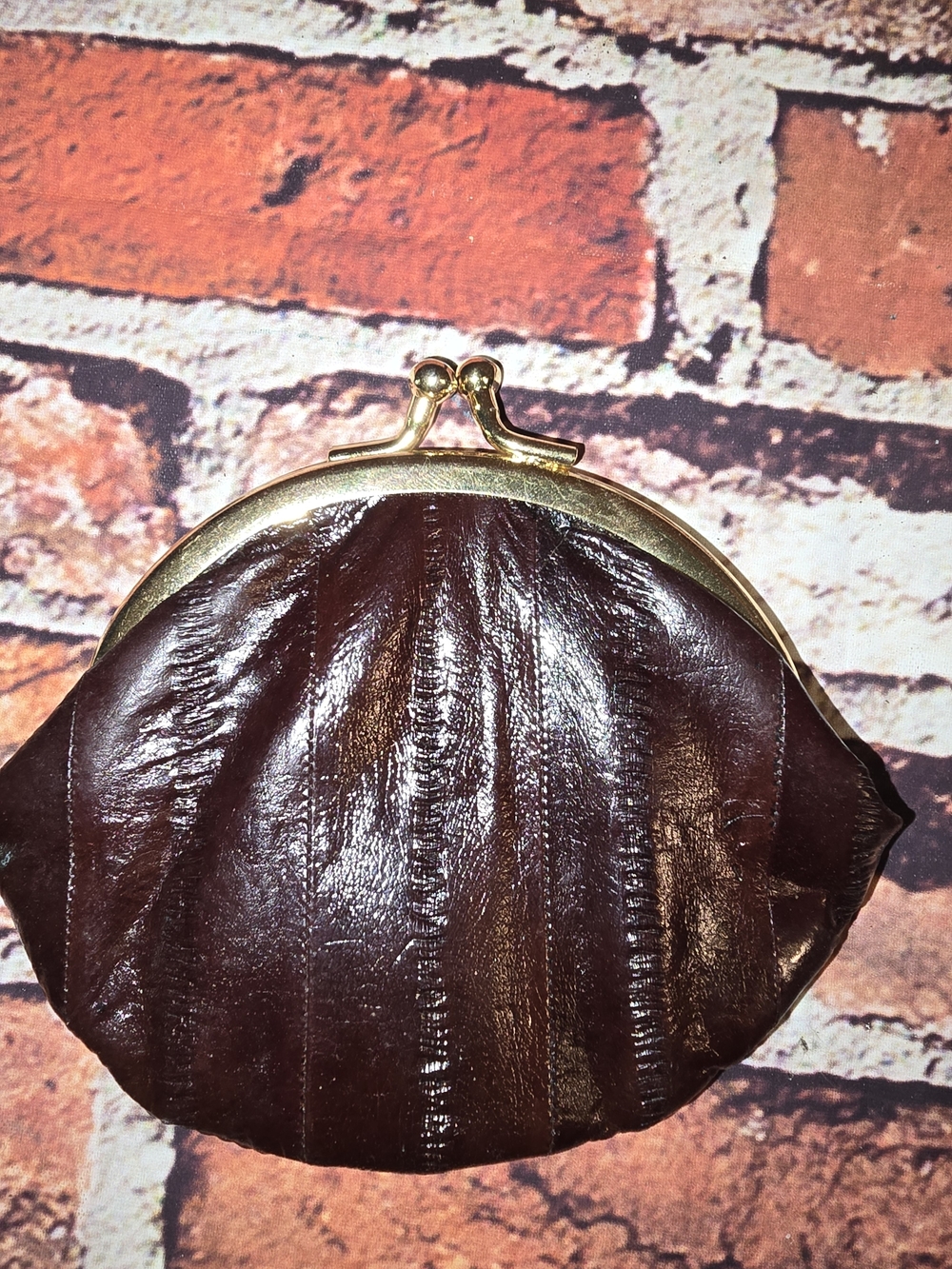 Brown  Eel Skin Leather Kiss-Lock Coin Purse